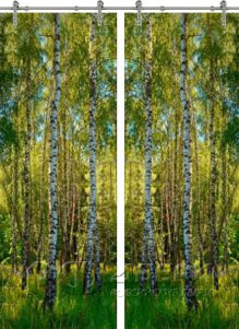 Стеклянная дверь раздвижная Forest-20 ПО (Фотопечать)
