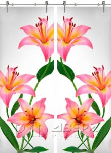 Стеклянная дверь раздвижная Flowers-03 ПО (Фотопечать)